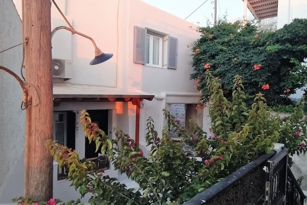 הוילה Naxos City Naxion Esti - Διαμονή Στην Παλιά Χώρα Της Νάξου מראה חיצוני תמונה