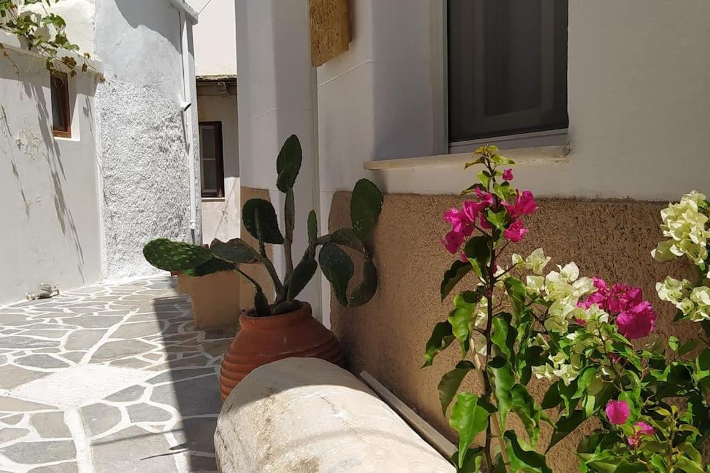 הוילה Naxos City Naxion Esti - Διαμονή Στην Παλιά Χώρα Της Νάξου מראה חיצוני תמונה