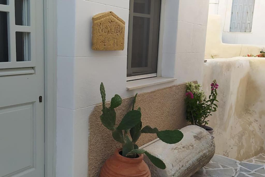 הוילה Naxos City Naxion Esti - Διαμονή Στην Παλιά Χώρα Της Νάξου מראה חיצוני תמונה